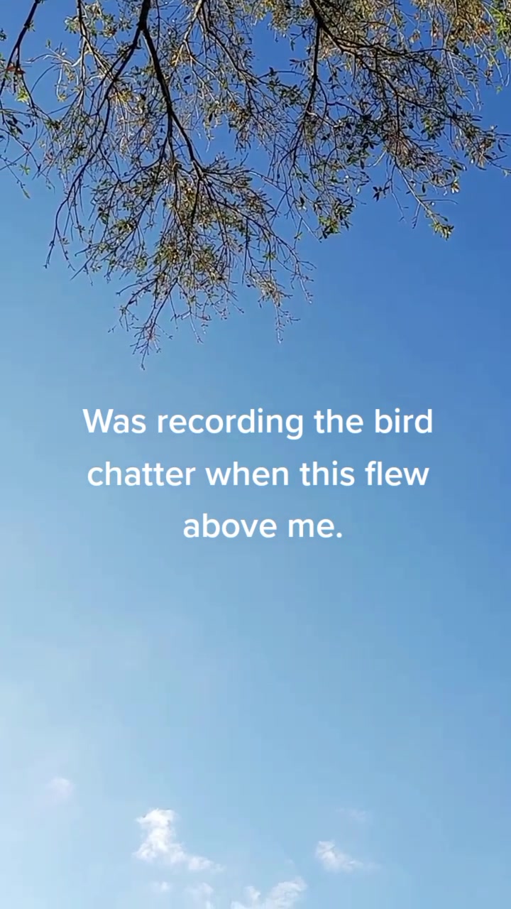 @Michelle G