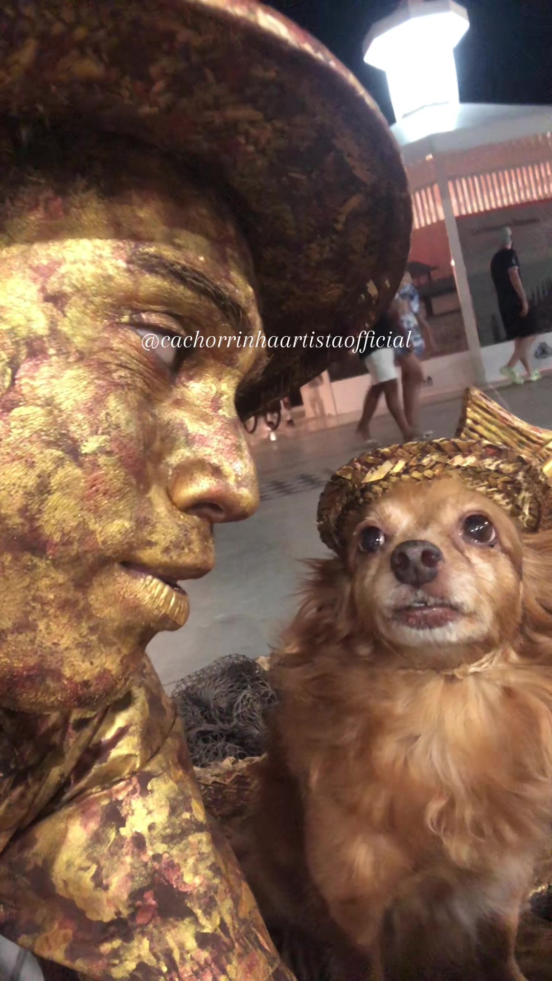 @Cachorrinhaartista🇻🇪