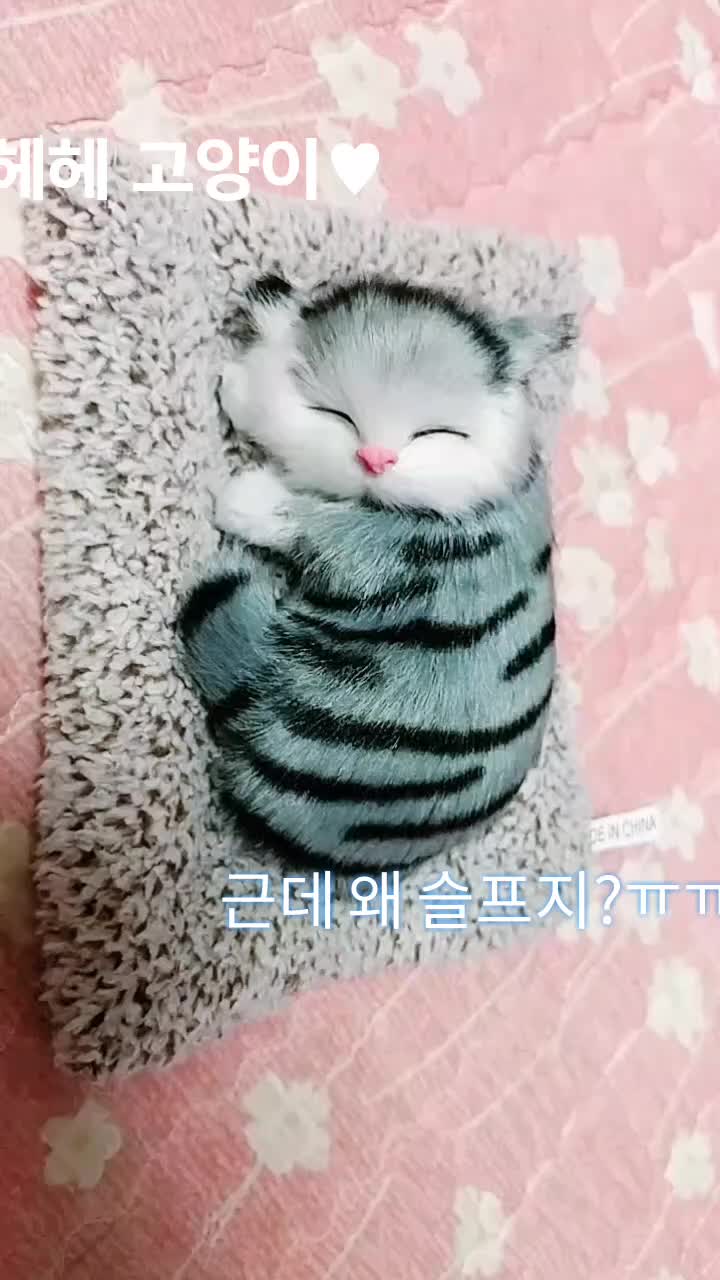 @v_ccos_루나앤 러브♥