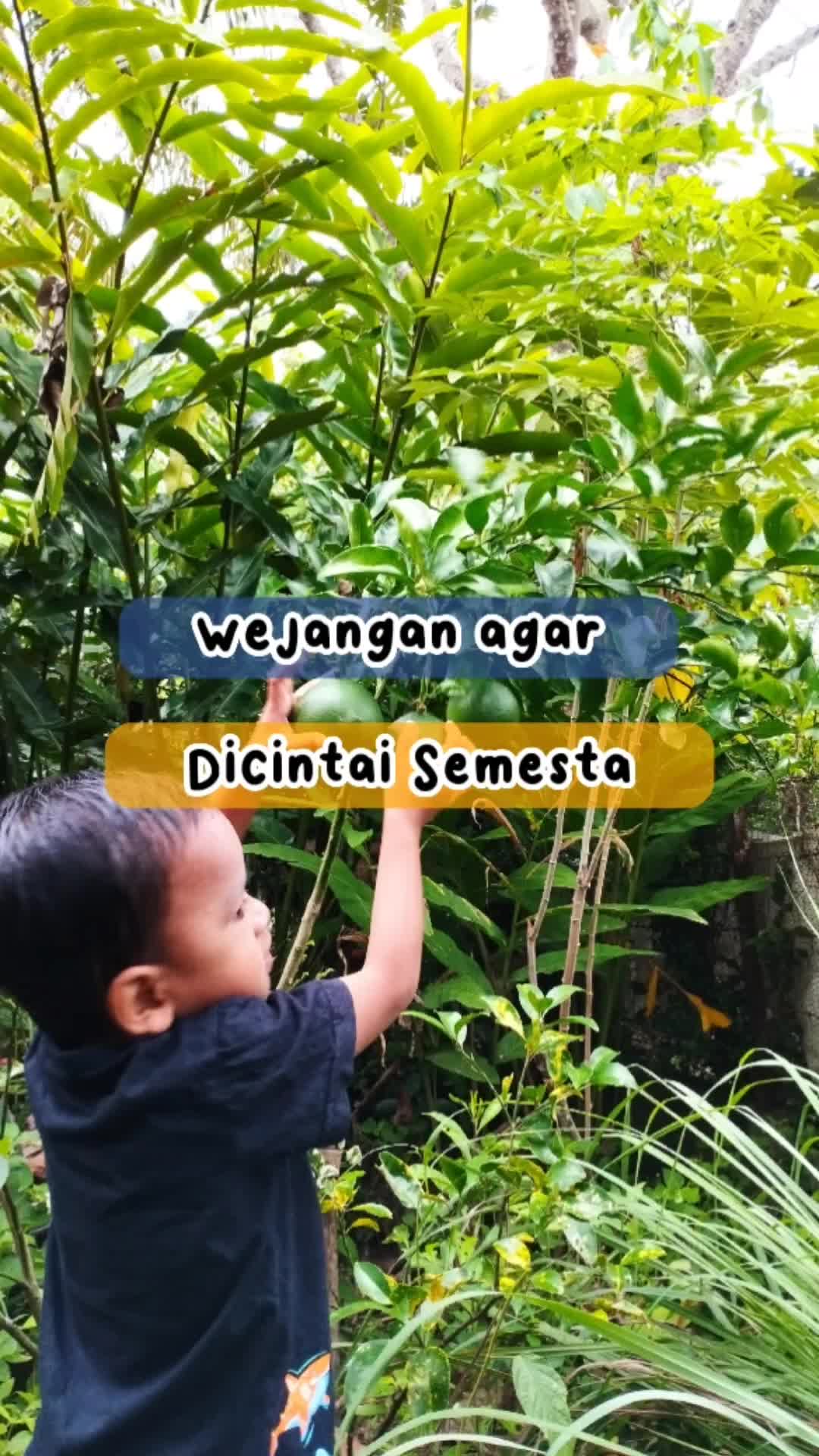 @drahmati