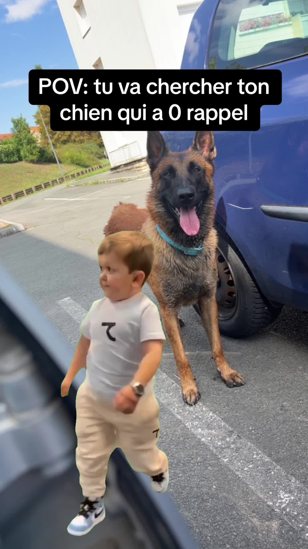 @Rios le malinois 🐕