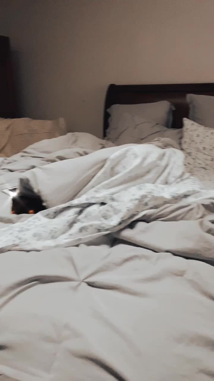 @🤍Mimi🤍