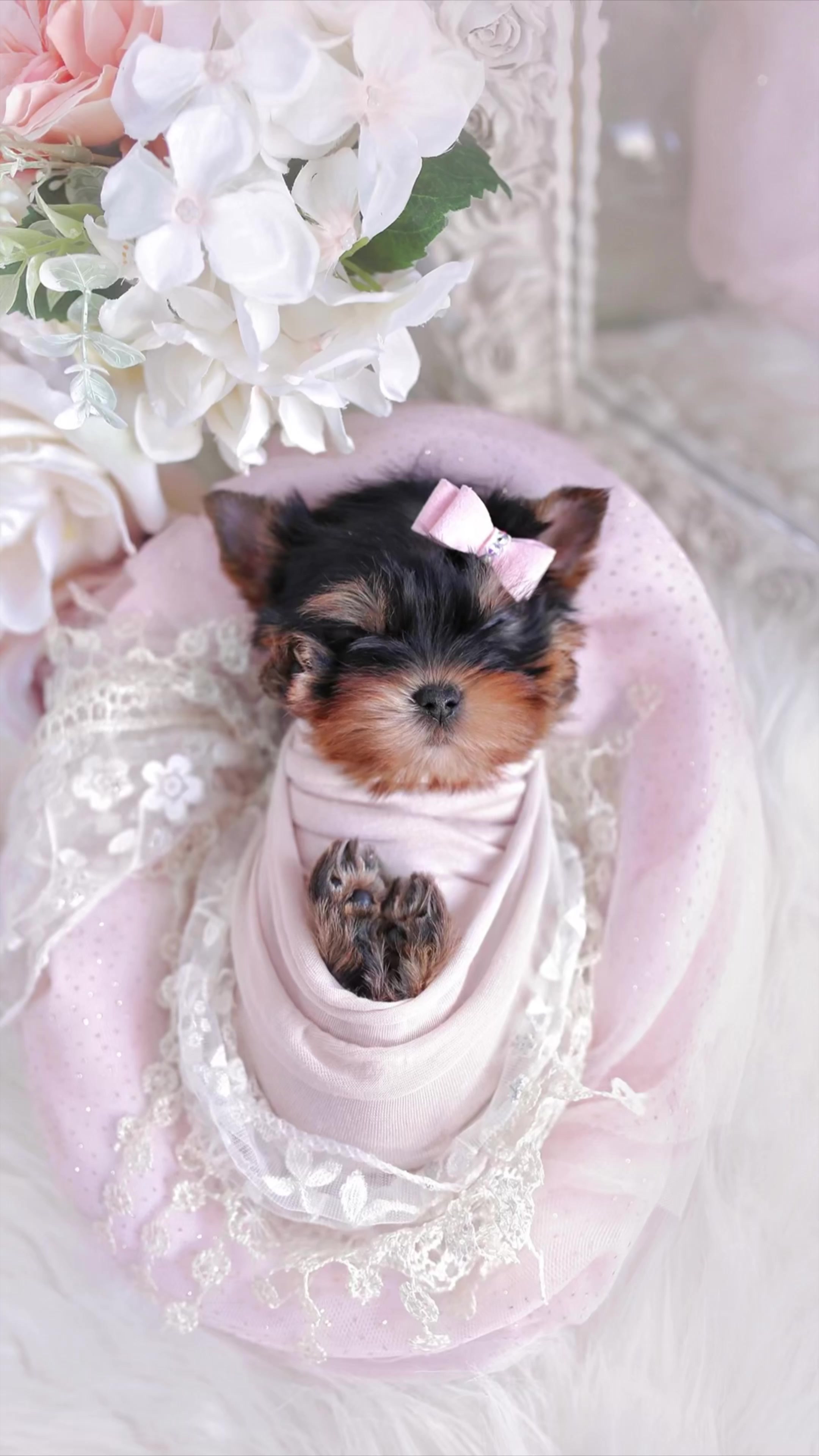 @TeaCups, Puppies & Boutique &reg;️