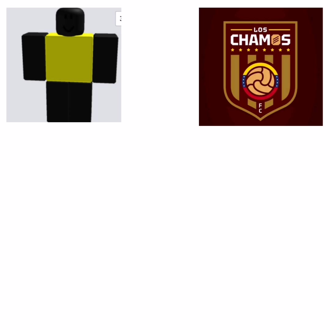 @Inkapenes FC