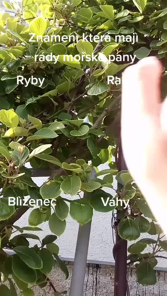 @Zvěrokruh & jm&eacute;na