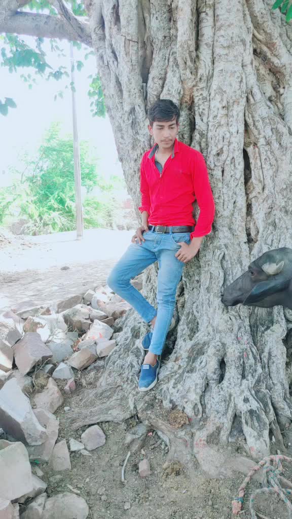 @pandit boy