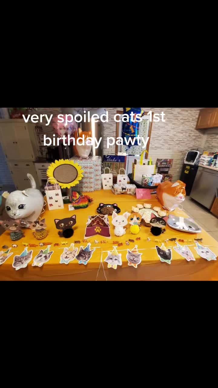 @Lil' Tiger Sylvester Ruediger