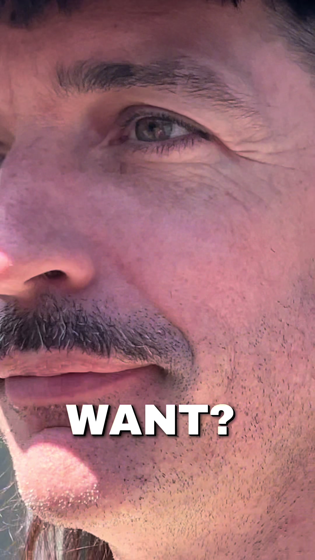 @KITTEN