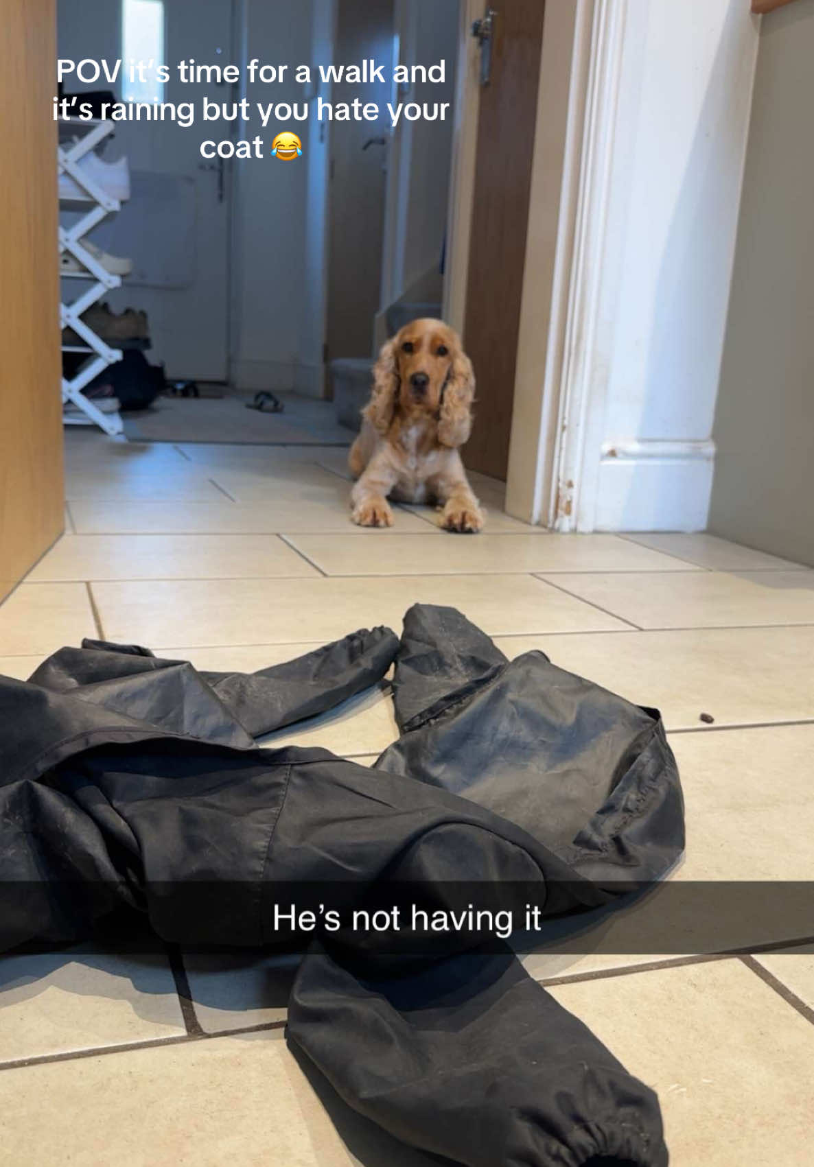 @Rach & Milo 🧡