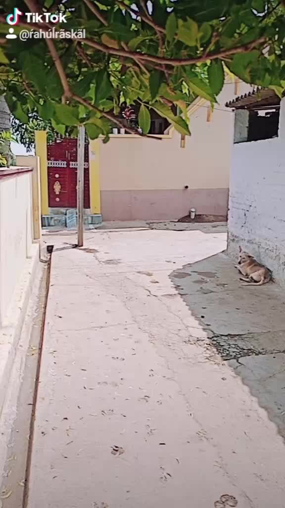 @Ŕah&uacute;ĺ R&atilde;sk&Atilde;l