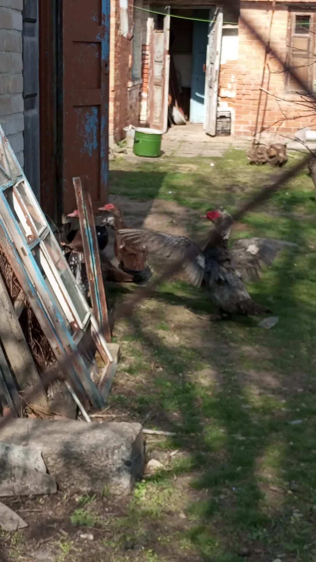 @🦃инда утки🦆