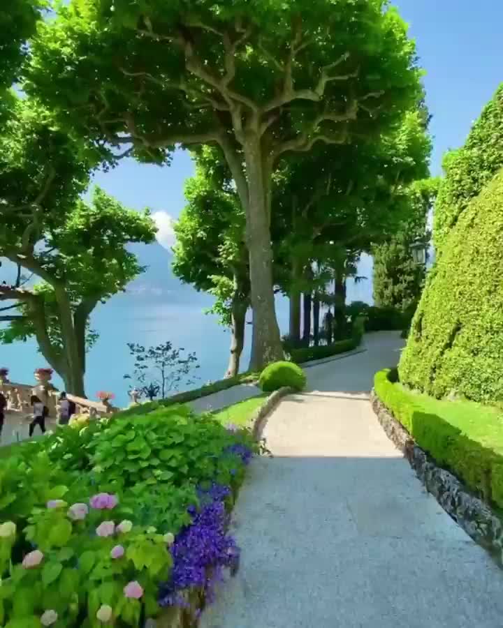 @Javohir