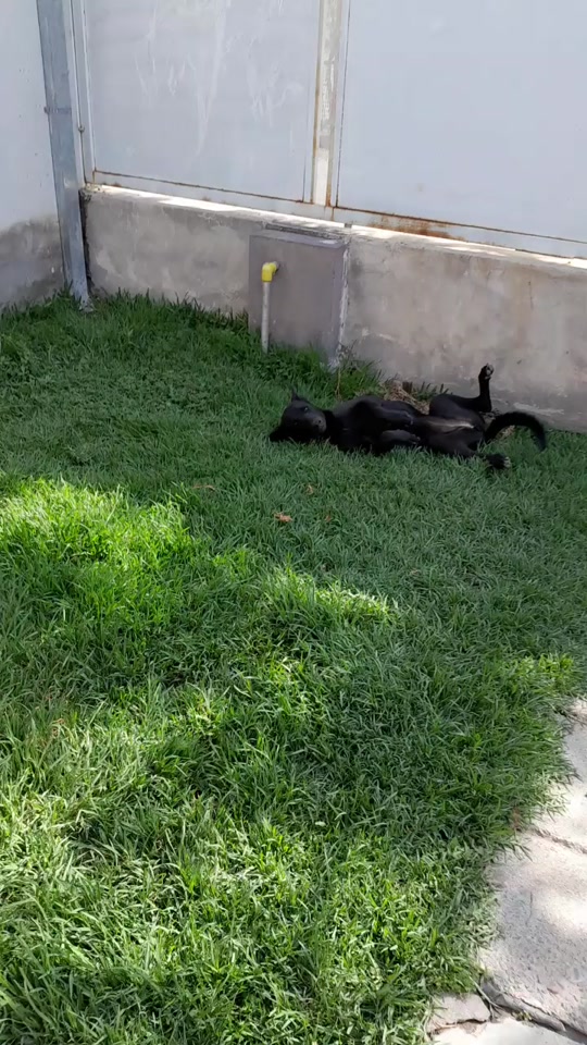 @Carohoy