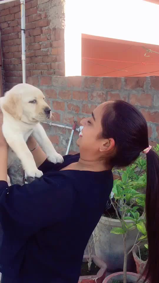 @Kiratpreet Kaur