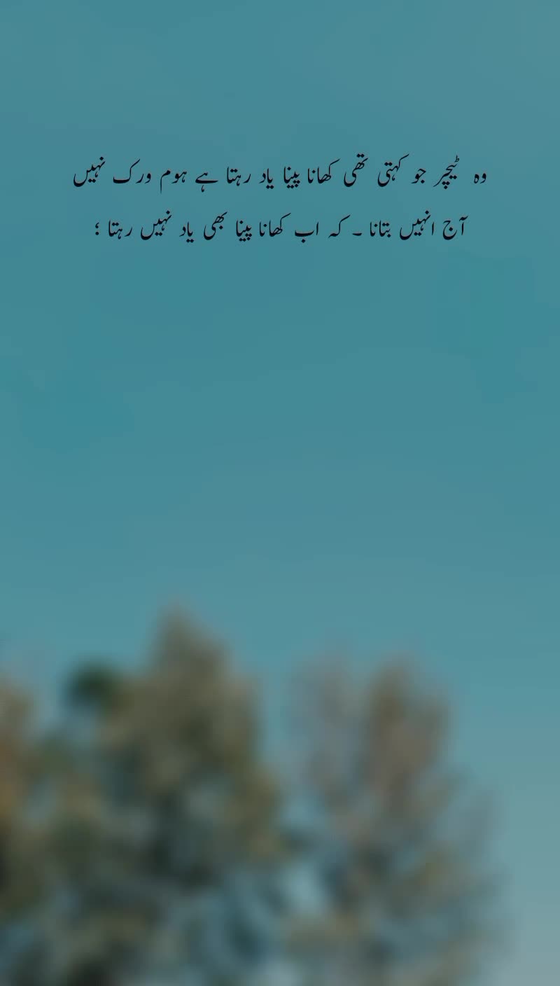 @zs125