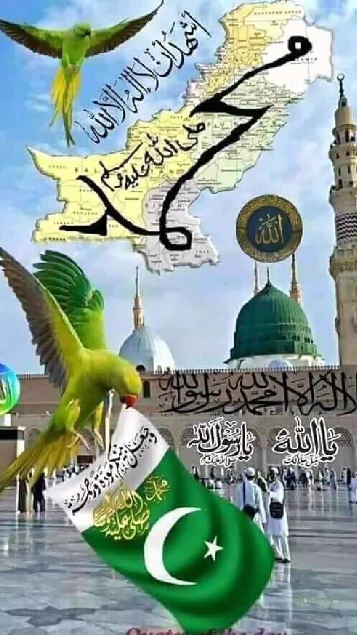 @tusar