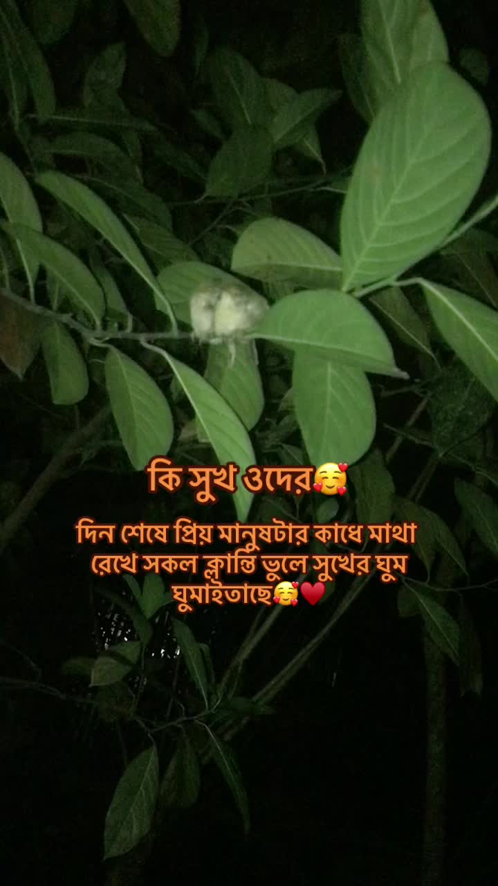 @🧚&zwj;♀️🍁pori🧚(আরশের আম্মু)