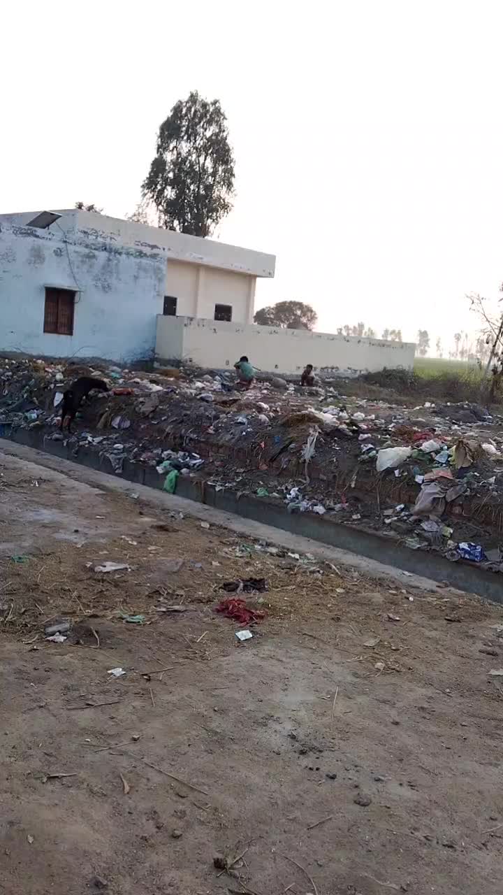 @user6706068379433