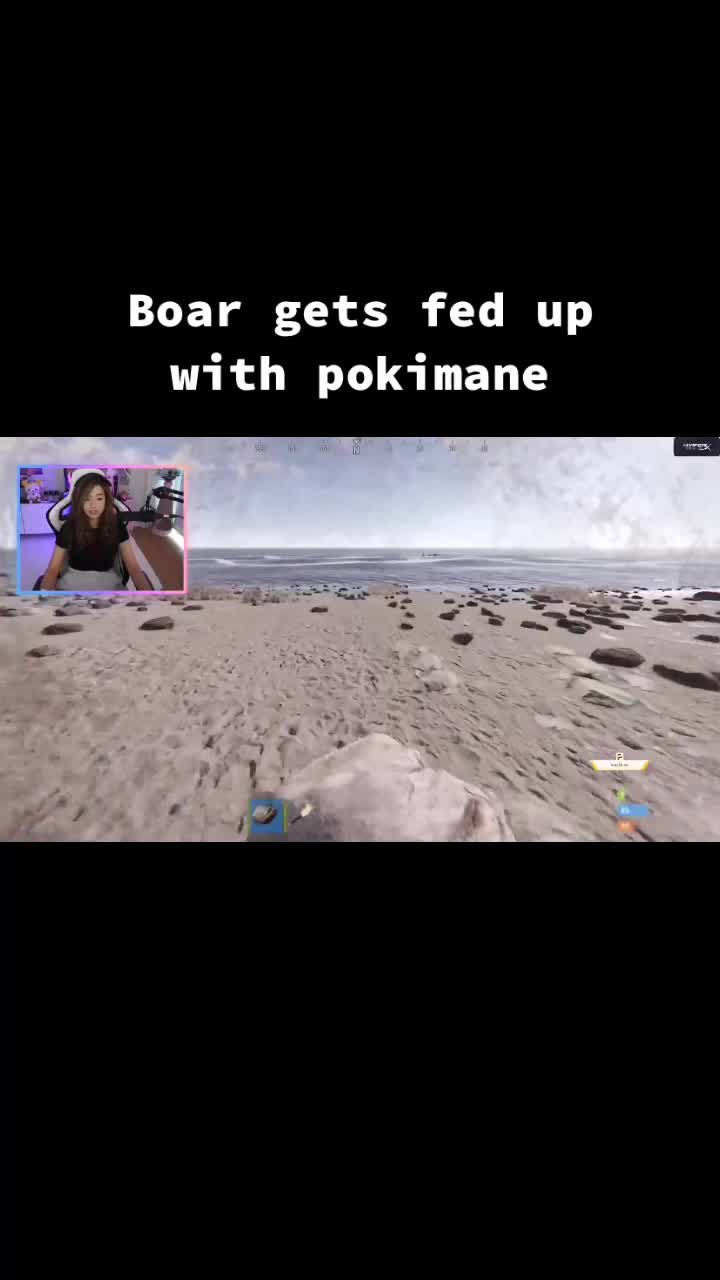 @StreamerInstance