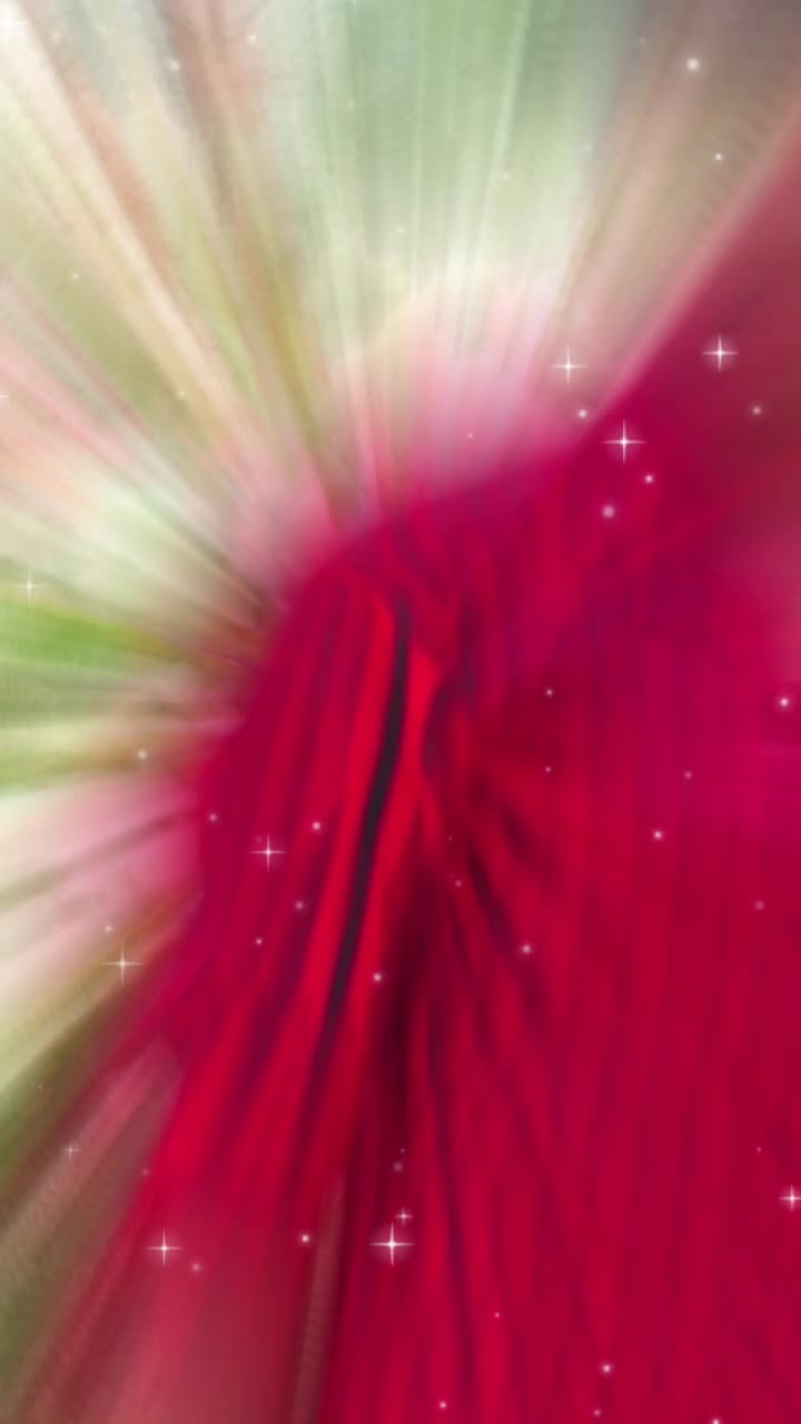 @_s_u_n_n_y__s_t_a_r_