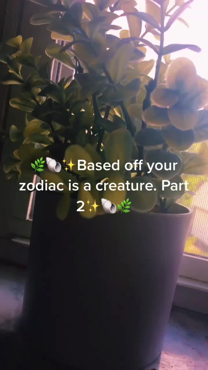 @🤍☁️Zodiac Signs☁️🤍