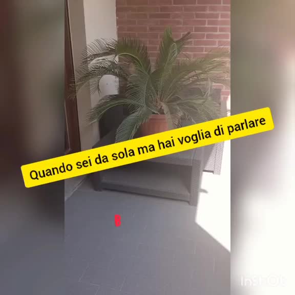 @Monica Casagrande