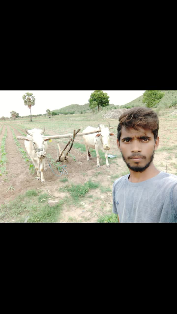 @user2621205233352