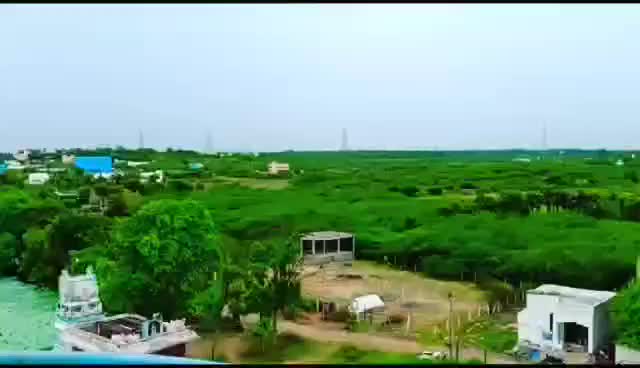 @கா.தரணி