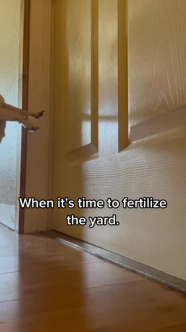 @DadBodRob