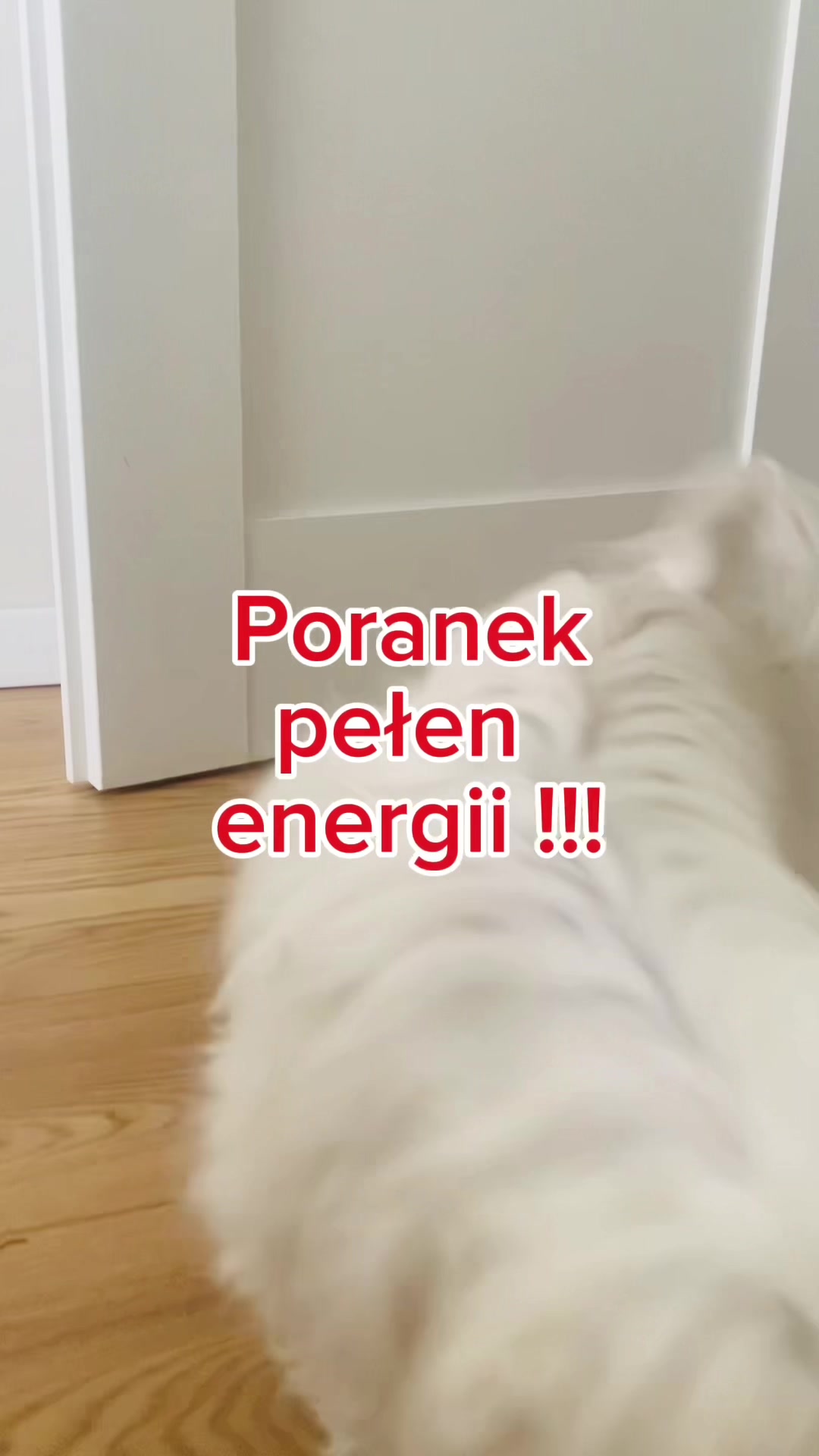@monikajak5