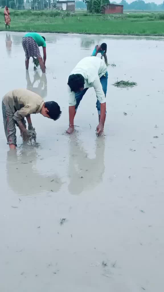 @Ashok Rajbhar