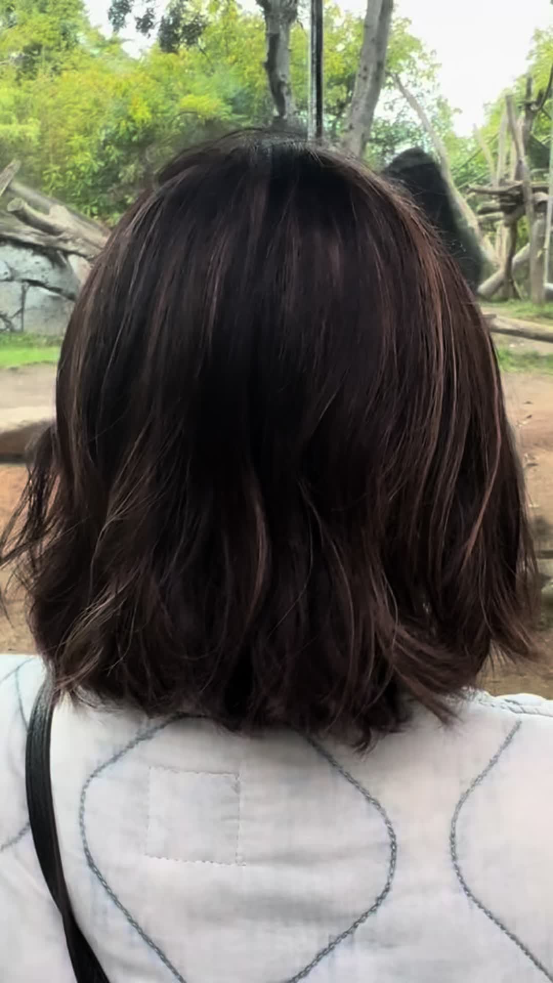 @Lauren Hornbeck Hair