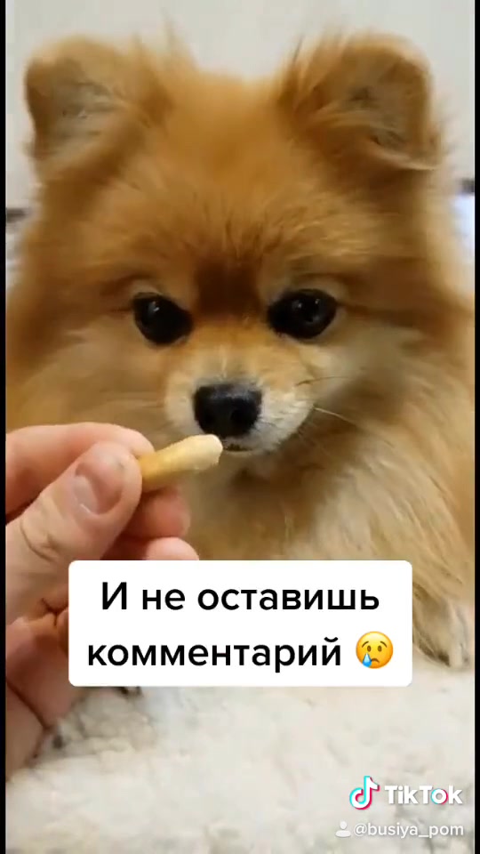 @busiya_cutie🐻♥️