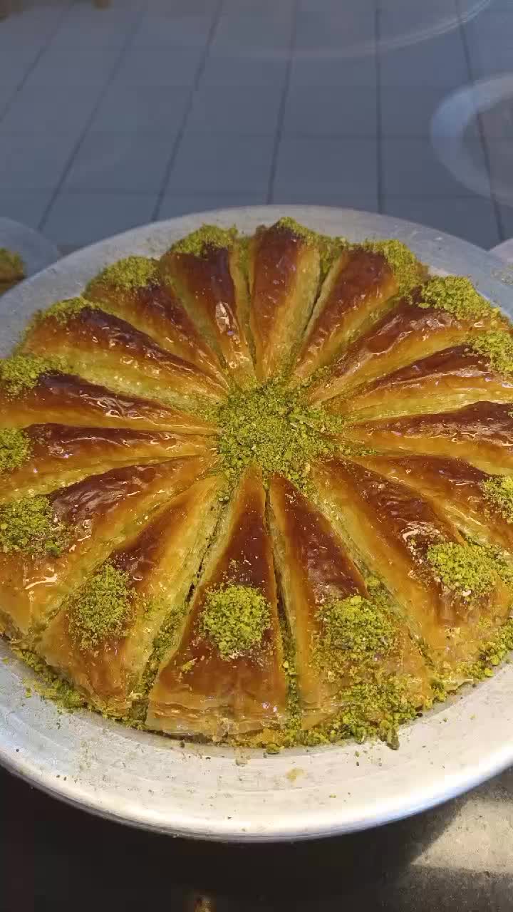@Şevval Palamut