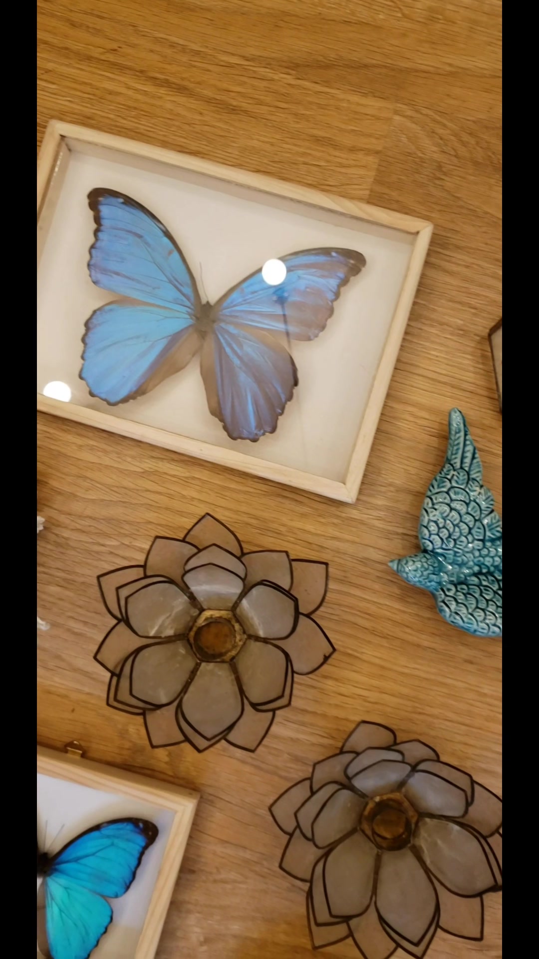 @Noyo-creatif