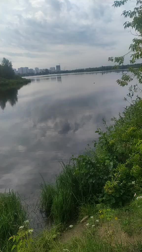 @Не смотрящий ТВ