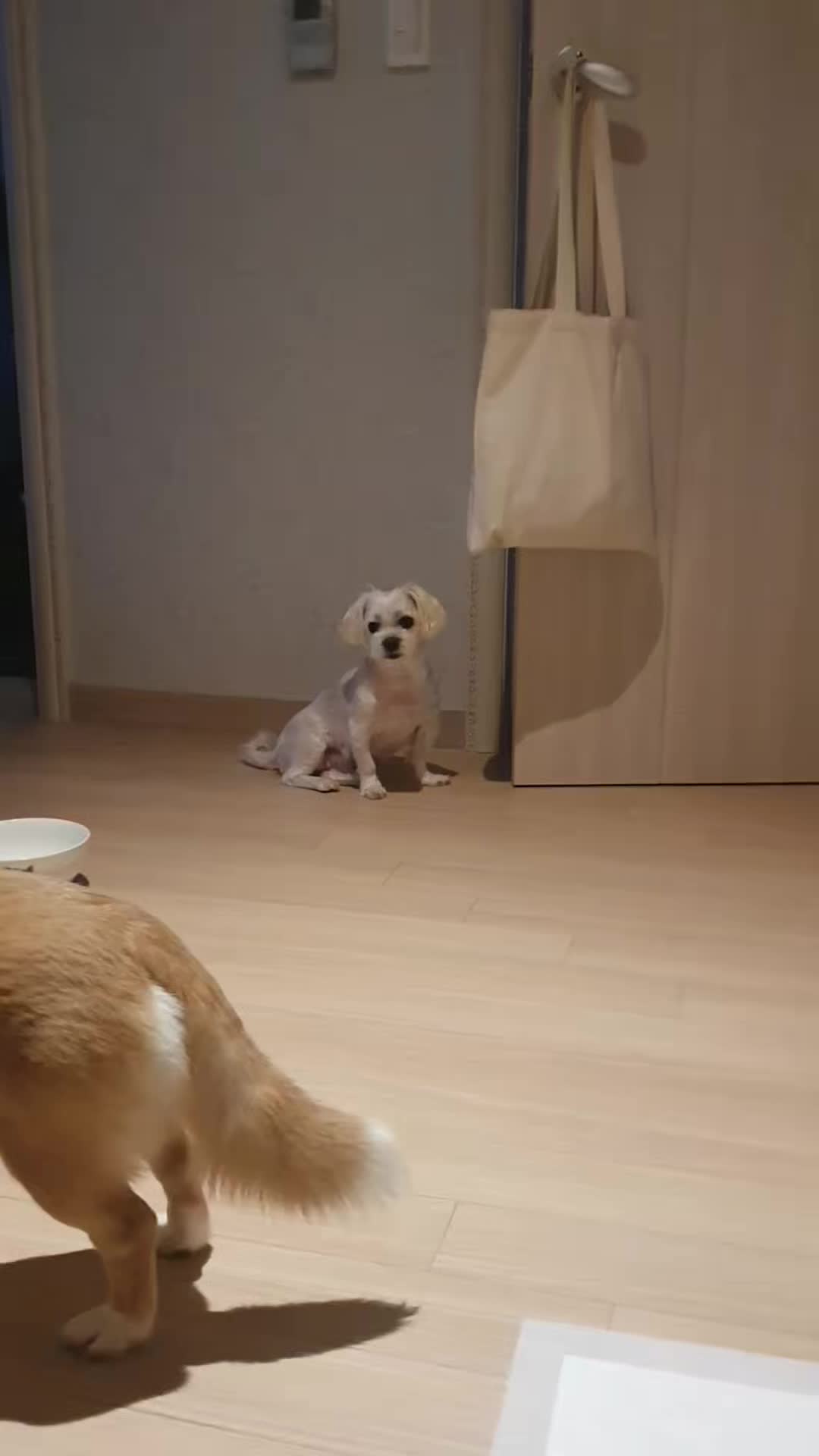 @아콩맘♡