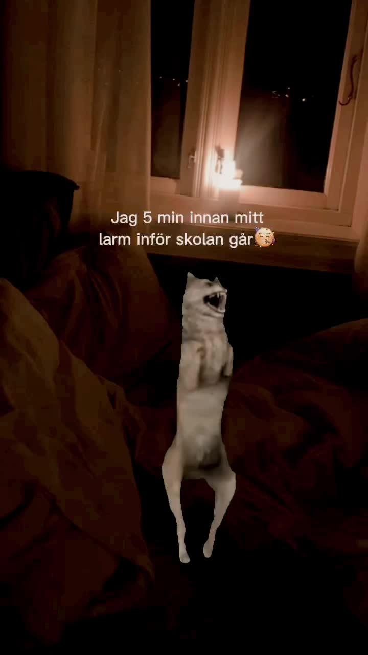 @skogstorpskolan🏫
