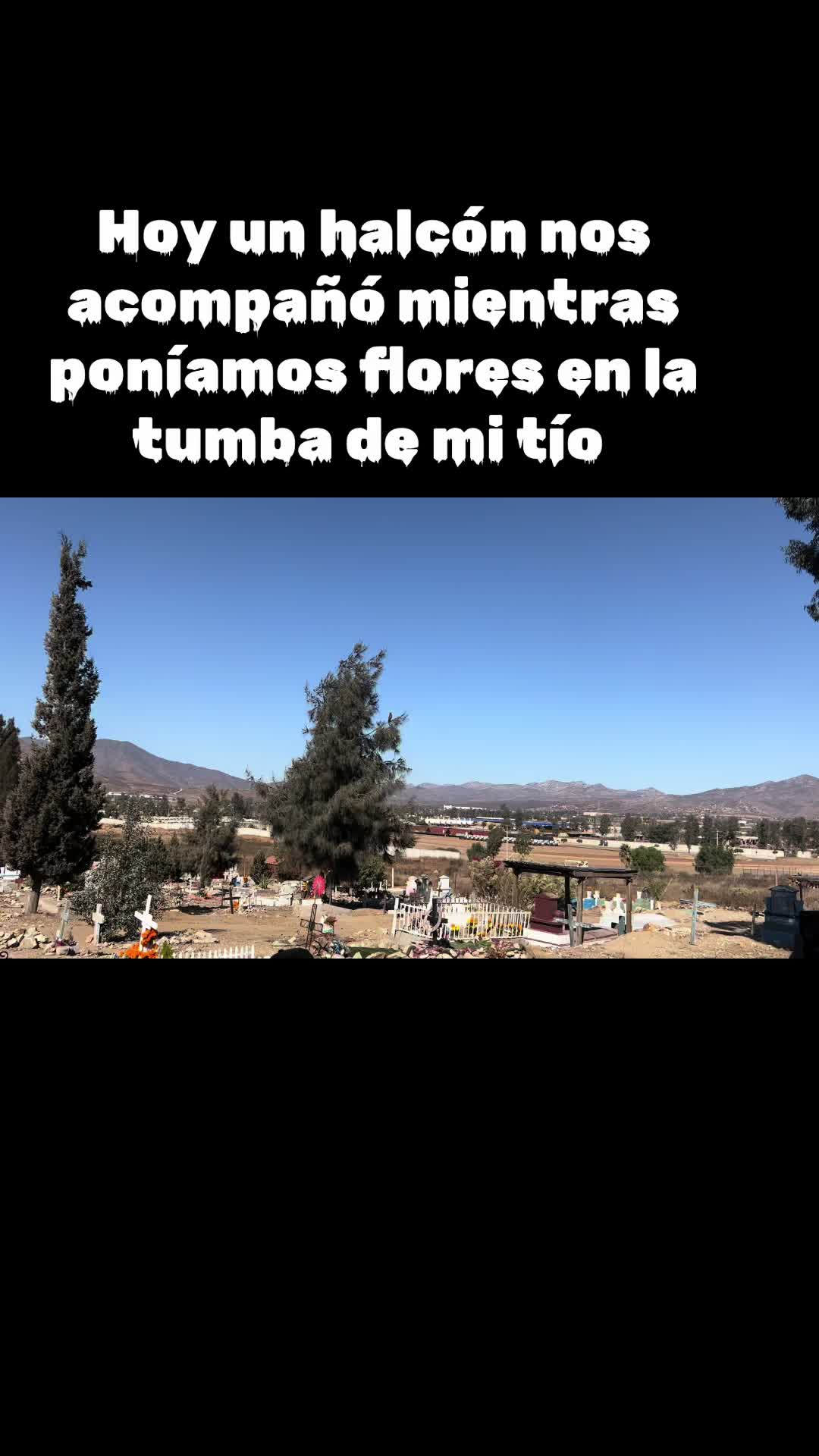 @rossesalinas