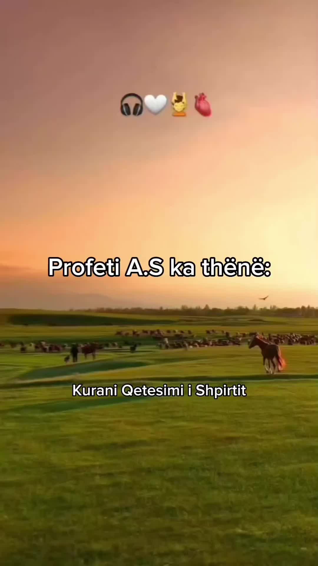 @Kurani Qetesimi i Shpirtit
