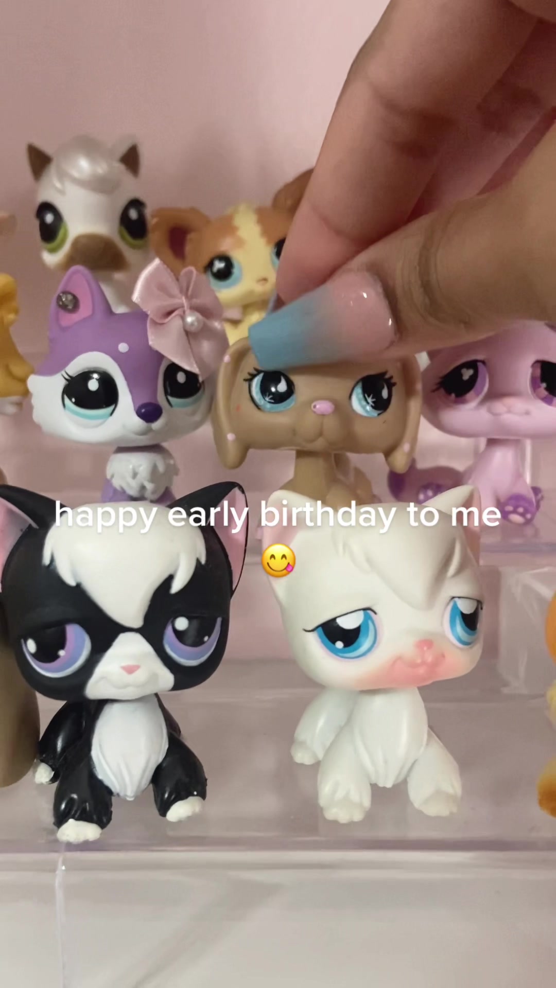 @sarah &bull; lpsvilla