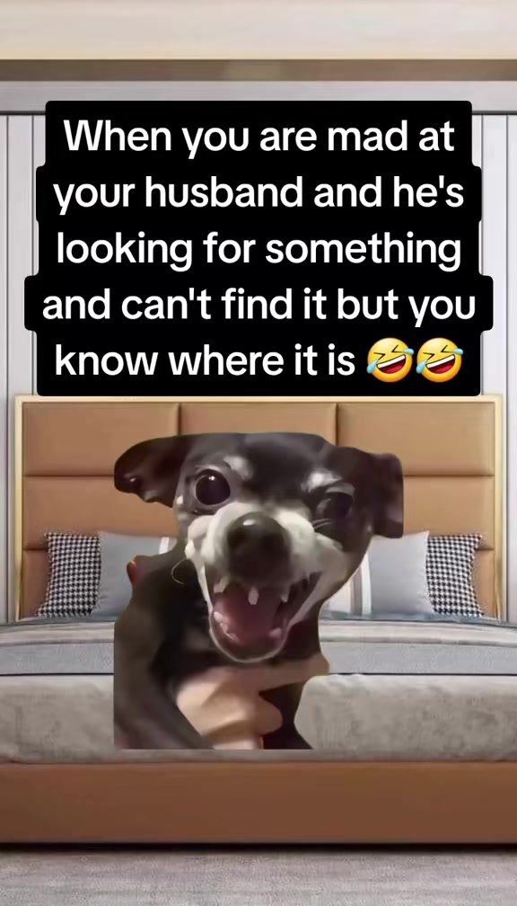 @webby_1981