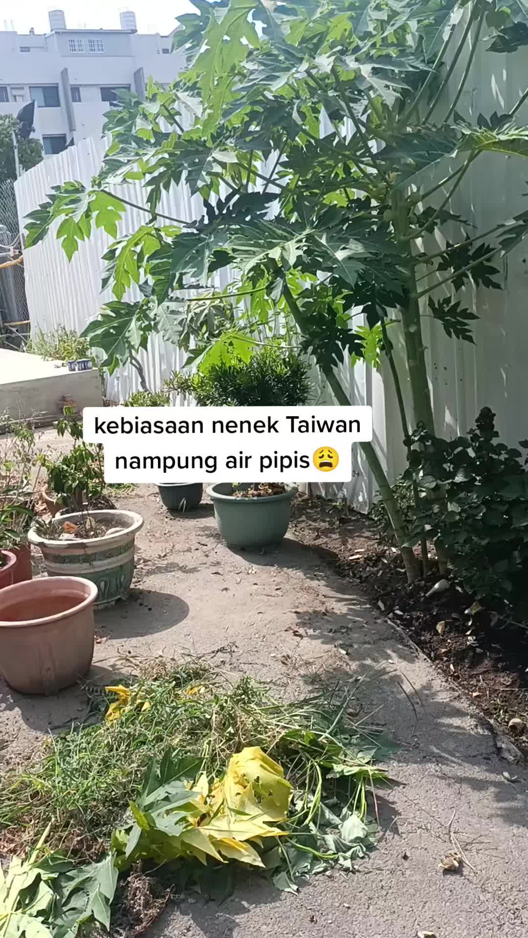 @Yuni kembar