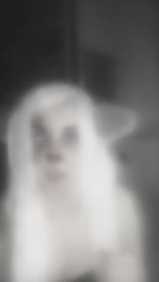 @Gaia AcidMoekko