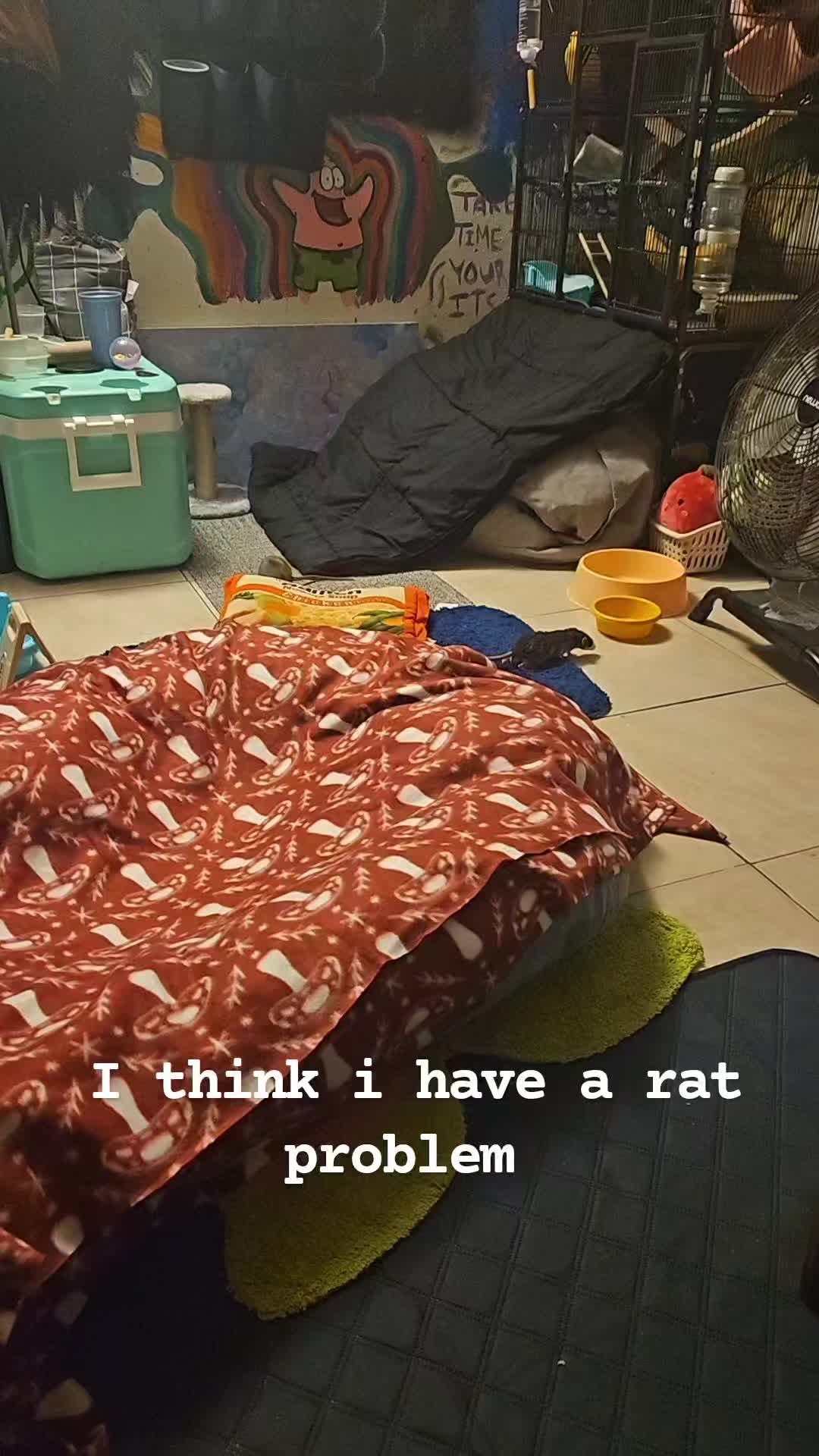 @ummm...