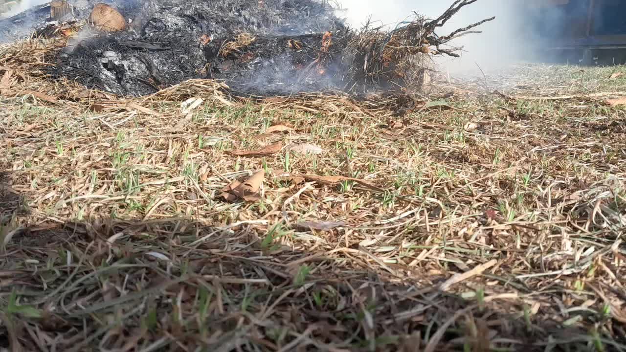 @Pak Guru Papua