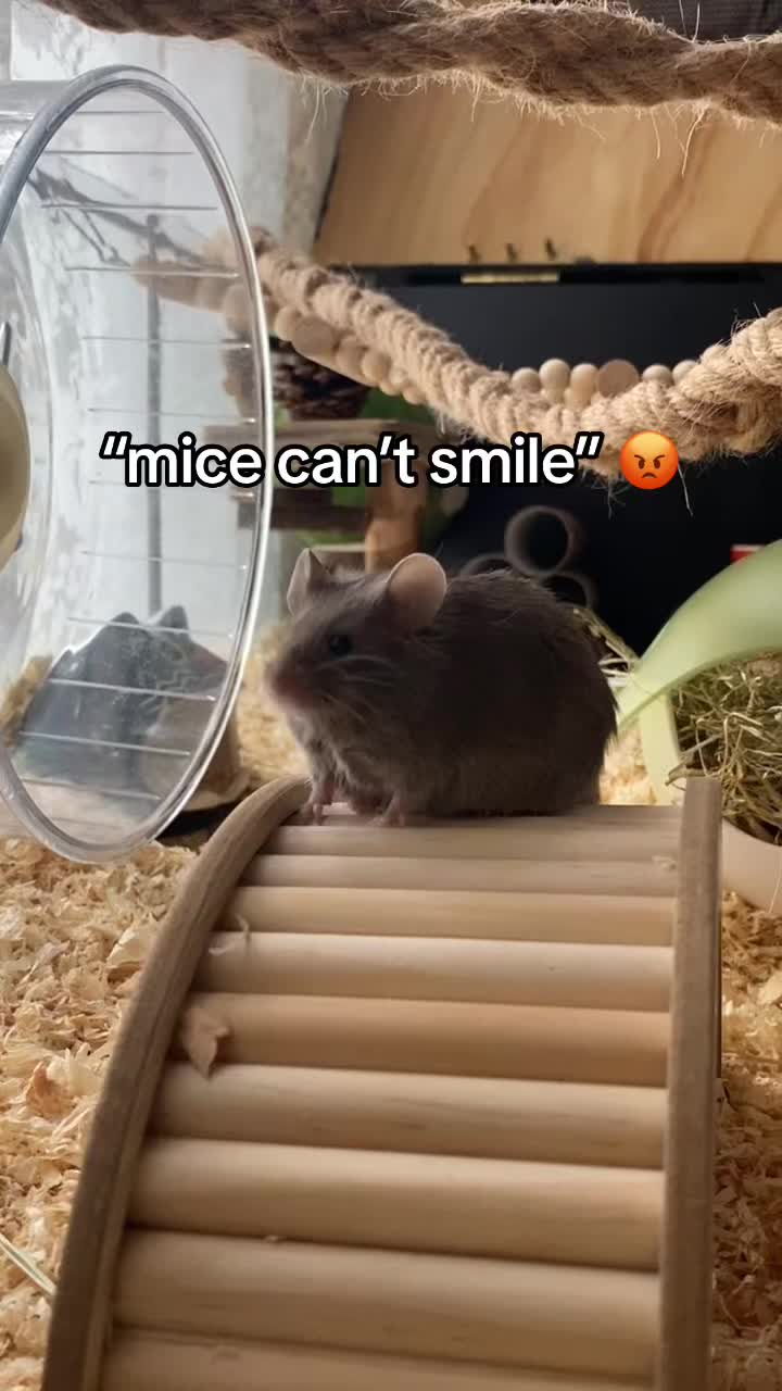 @ThatMouseGirl♡