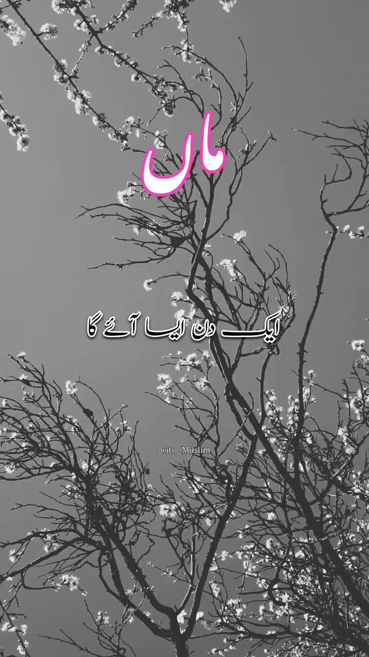 @Noor e sehar