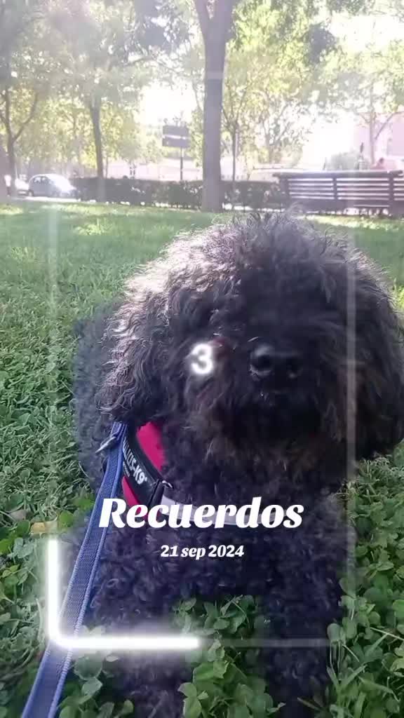 @PatriFuyur