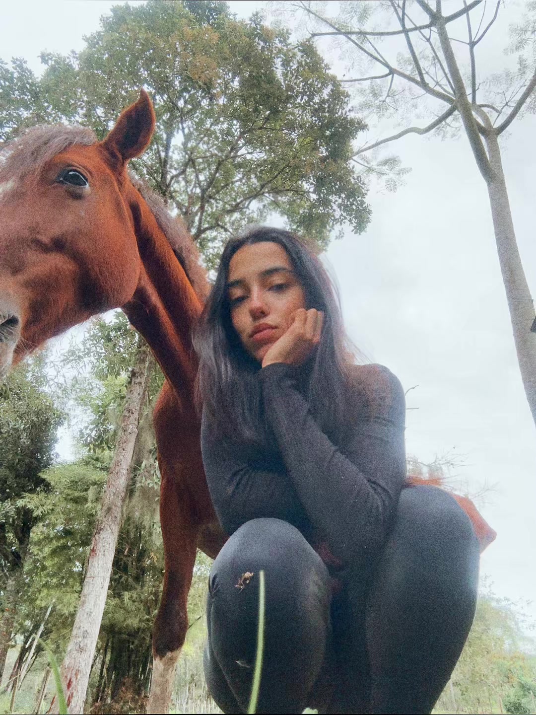 @iarinha